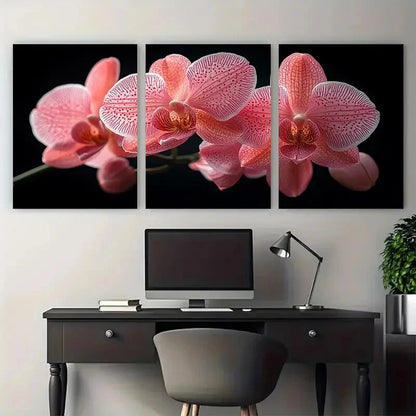 3pcs Pink Orchid Floral in Black Background Metal Print Ready to Hang Art