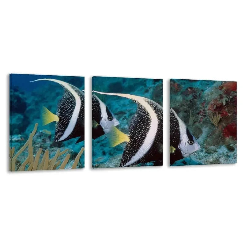 3pcs Two Black and white Angelfish swimming Wall Art Set Canvas Framed 40x60cm - High Quality Print 100% Australian Made Wall Canvas Ready to Hang