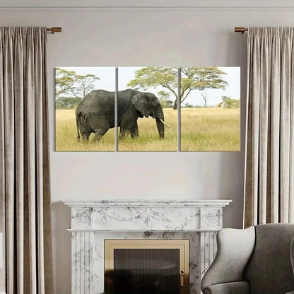 3pcs African Elephant Savanna Portrait Wall Art Set Canvas Framed 40x60cm - High Quality Print 100% Australian Made Wall Canvas Ready to Hang