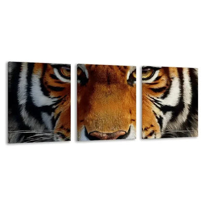 3pcs Realistic Tiger Face Decor   Wall Art Set Canvas Framed 60x90cm - High Quality Print 100% Australian Made Wall Canvas Ready to Hang