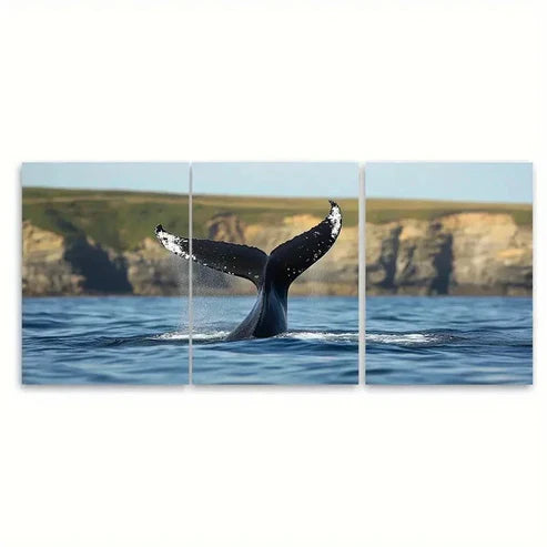3pcs Cullernose Point Whale Back Folds Wall Art Set Canvas Unframed – High Quality Print 100% Australian Made Wall Canvas
