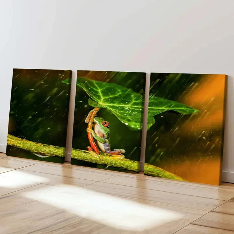 3pcs Frog Under Lotus Leaf to Protect From Rain Wall Art Set Canvas Framed 40x60cm - High Quality Print 100% Australian Made Wall Canvas Ready to Hang