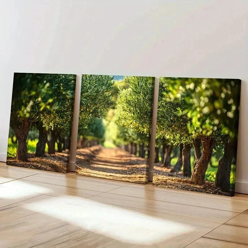 3pcs Serene Pathway Lush Greenery Warm Sunlight  Wall Art Set Canvas Framed 40x60cm - High Quality Print 100% Australian Made Wall Canvas Ready to Hang