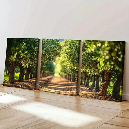 3pcs Serene Pathway Lush Greenery Warm Sunlight  Wall Art Set Canvas Framed 40x60cm - High Quality Print 100% Australian Made Wall Canvas Ready to Hang