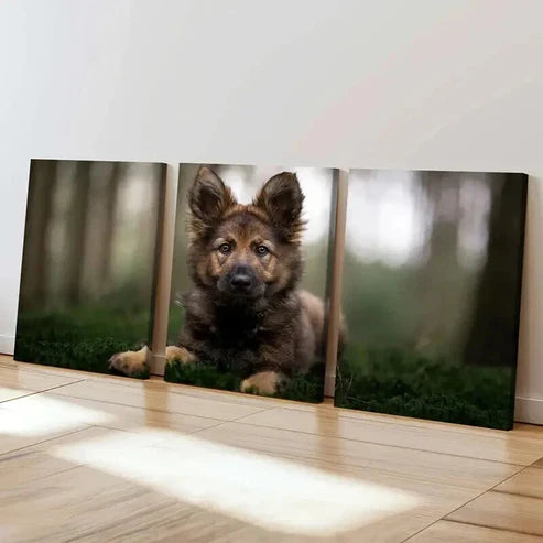 3pcs Brownish Dog Puppy Sitting on Grass Wall Art Set Canvas Unframed - High Quality Print 100% Australian Made Wall Canvas