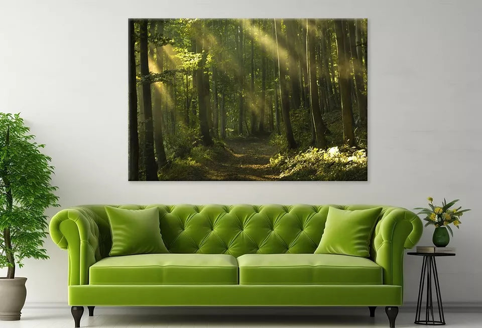 Beams Of Sunlight And Trees Wall Art Decor 100% Australian Made