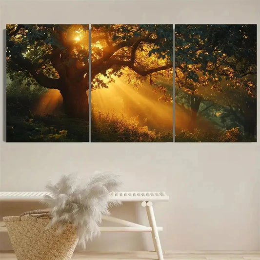 3pcs Serene Forest Wall Art Set Canvas Framed 40x60cm - High Quality Print 100% Australian Made Wall Canvas Ready to Hang
