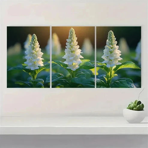 3pcs White Basil Flower Canvas Print SR Wall Art Set Canvas Unframed - High Quality Print 100% Australian Made Wall Canvas - Bella Home Decor