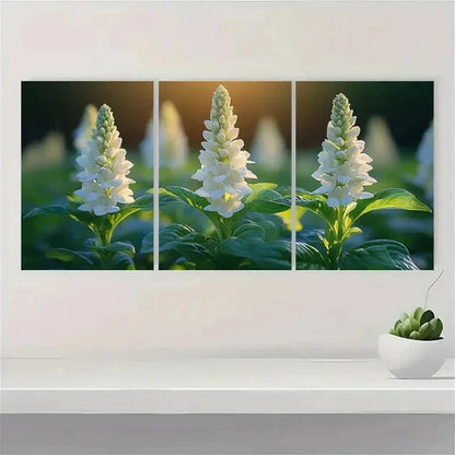 3pcs White Basil Flower Canvas Print SR Wall Art Set Canvas Unframed - High Quality Print 100% Australian Made Wall Canvas - Bella Home Decor