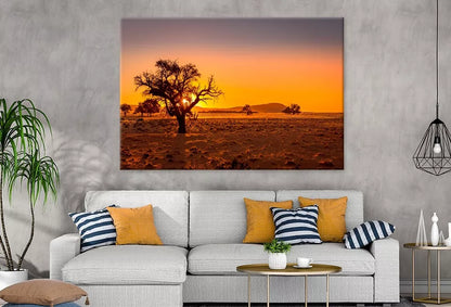 Grassy Steppe, Camel Thorn Trees Wall Art Decor 100% Australian Made