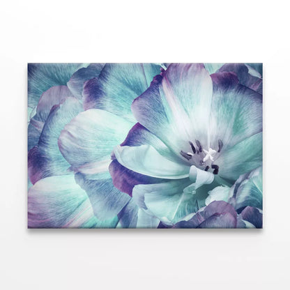 Elegant Tulip Flower And Close up  Wall Art Decor 100% Australian Made