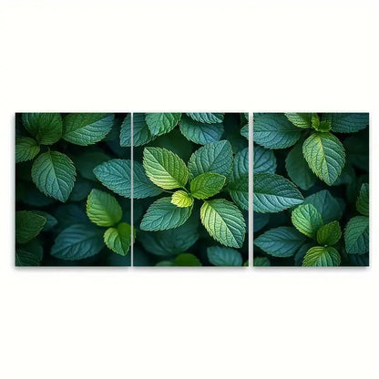 3pcs Tranquil Green Foliage TI Wall Art Set Canvas Framed 50x70cm - High Quality Print 100% Australian Made Wall Canvas Ready to Hang