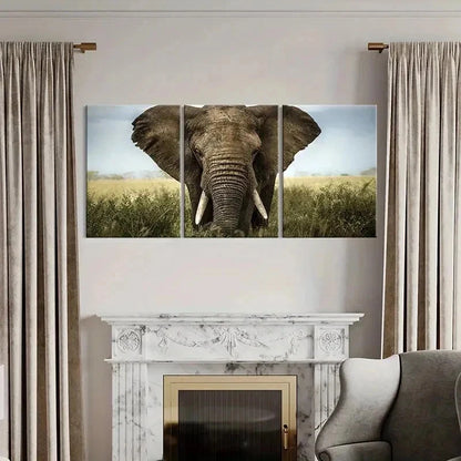 3pcs Elephant African Savanna Decoration Wall Art Set Canvas Framed 40x60cm - High Quality Print 100% Australian Made Wall Canvas Ready to Hang