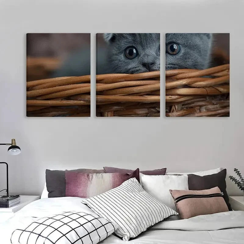 3pcs A Tiny Kitten Peeks From Basket Wall Art Set Canvas Framed 40x60cm - High Quality Print 100% Australian Made Wall Canvas Ready to Hang