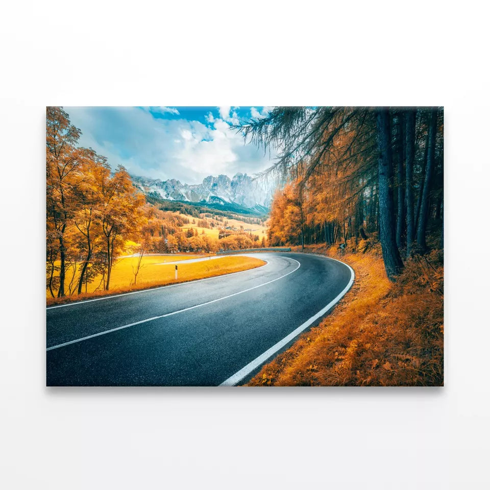 Beautiful Orange Tree Pathway Wall Art Decor 100% Australian Made