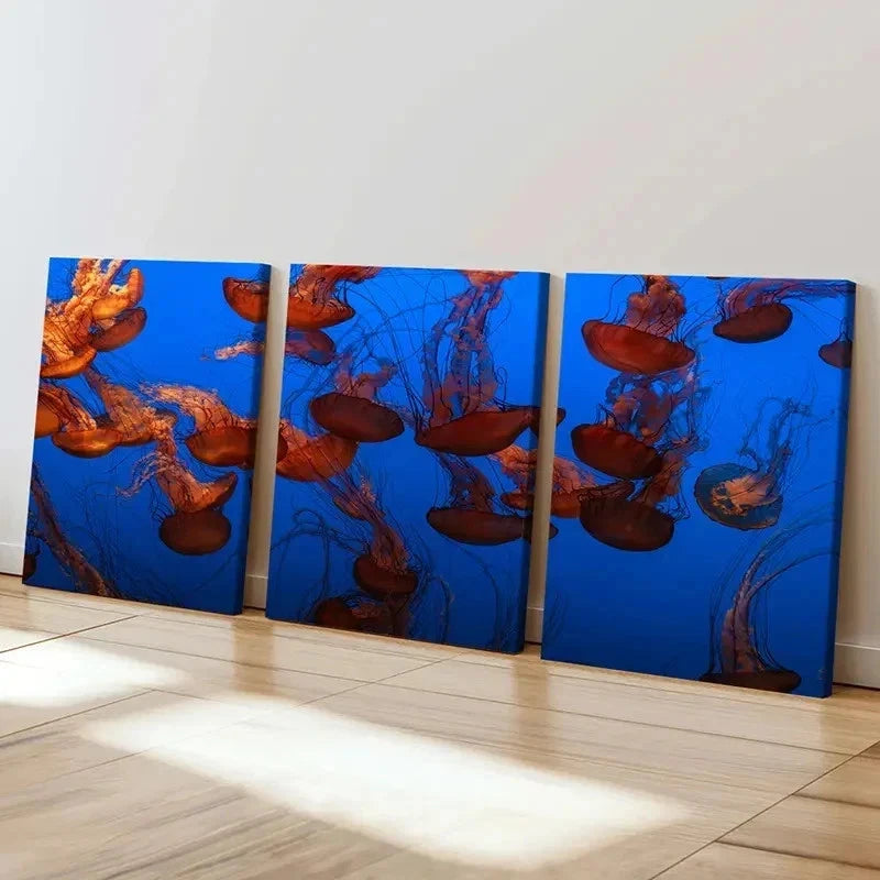 3pcs Sea Life Jellyfish Art Painting Wall Art Set Canvas Framed 40x60cm - High Quality Print 100% Australian Made Wall Canvas Ready to Hang