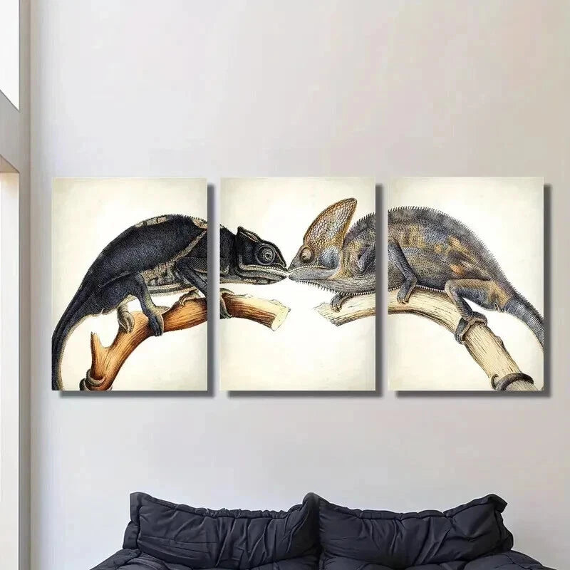 3pcs Featuring a Lizard And a Chameleon Wall Art Set Canvas Framed 40x60cm - High Quality Print 100% Australian Made Wall Canvas Ready to Hang
