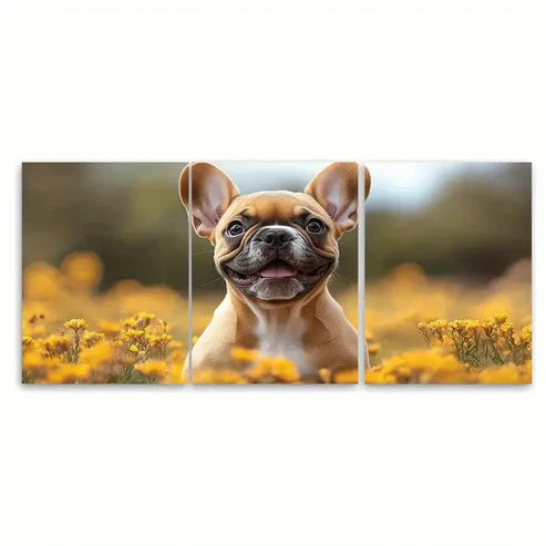 3pcs Adorable French Bulldog Puppy Wall Art Set Canvas Unframed – High Quality Print, 100% Australian Made Wall Canvas