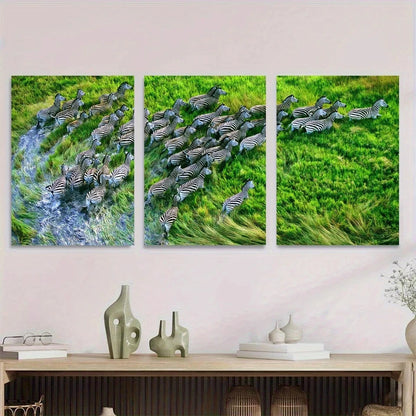3pcs Zebra Herd Green Grasses Animals Metal Print Ready to Hang Art