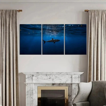 3pcs Sea Life Scene with Realistic Shark Wall Art Set Canvas Framed 40x60cm - High Quality Print 100% Australian Made Wall Canvas Ready to Hang