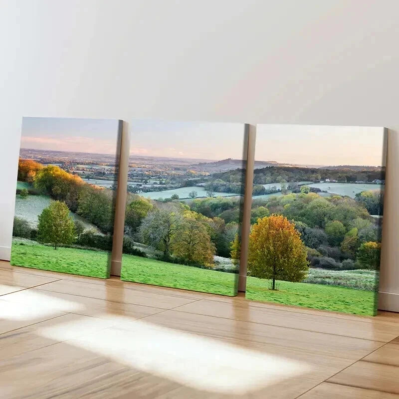 3pcs Rolling Hills Trees and Sunlit Meadows Wall Art Set Canvas Framed 40x60cm - High Quality Print 100% Australian Made Wall Canvas Ready to Hang
