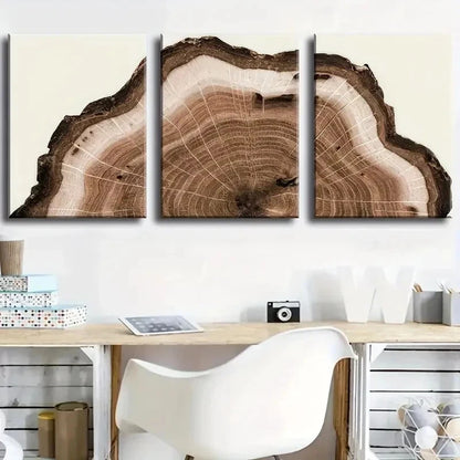 3pcs Tree Ring Decoration Décor Perfect Wall Art Set Canvas Framed 40x60cm - High Quality Print 100% Australian Made Wall Canvas Ready to Hang