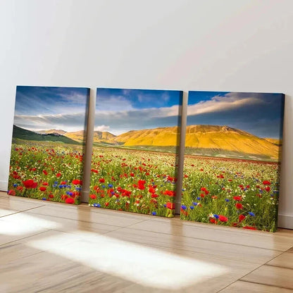 3pcs Mountain Flower Field Modern Decoration Wall Art Set Canvas Framed 40x60cm - High Quality Print 100% Australian Made Wall Canvas Ready to Hang
