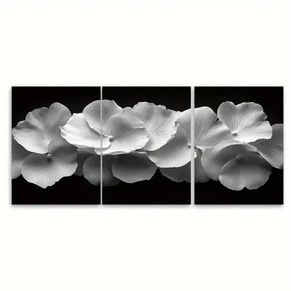 3pcs Black and White Delicate Rose Wall Art Set Canvas Unframed – High Quality Print 100% Australian Made Wall Canvas