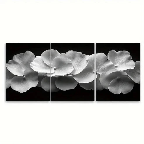 3pcs Black and White Delicate Rose Wall Art Set Canvas Unframed – High Quality Print 100% Australian Made Wall Canvas