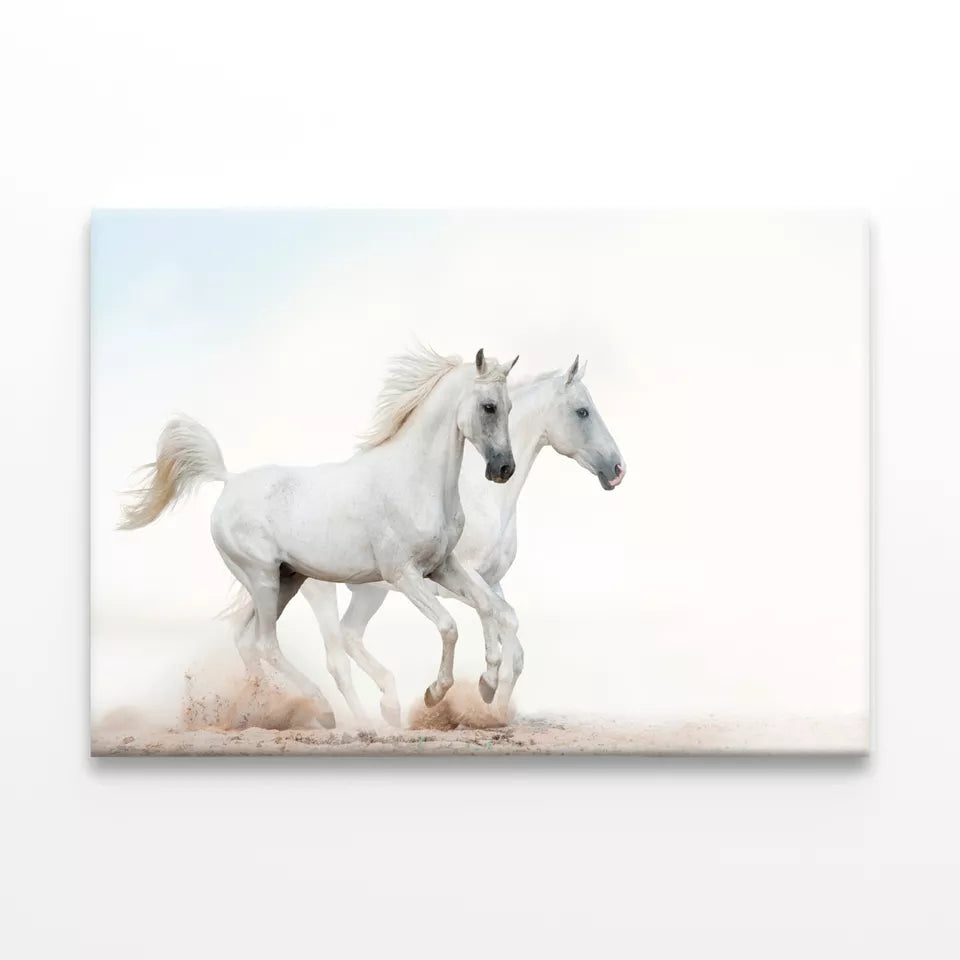 Two Beautiful Snowy White Horses Wall Art Decor 100% Australian Made
