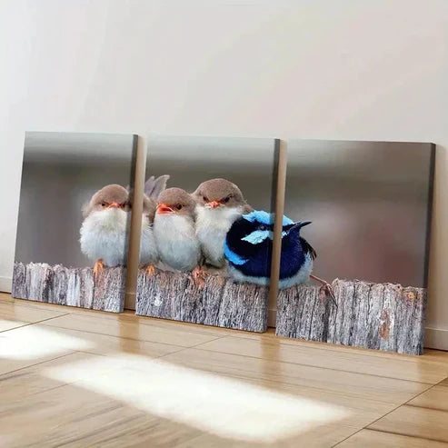 3pcs Animals White Brown & Blue Birds Wall Art Set Canvas Unframed - High Quality Print 100% Australian Made Wall Canvas
