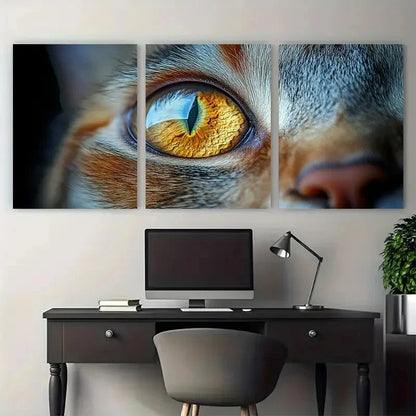 3pcs Amber Cat Eyes Canvas Print Wall Art Set Canvas Framed 40x60cm - High Quality Print 100% Australian Made Wall Canvas Ready to Hang