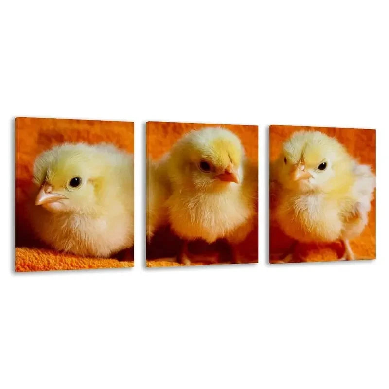 3pcs Yellow Baby Chicks on an Orange Towel   Wall Art Set Canvas Framed 60x90cm - High Quality Print 100% Australian Made Wall Canvas Ready to Hang