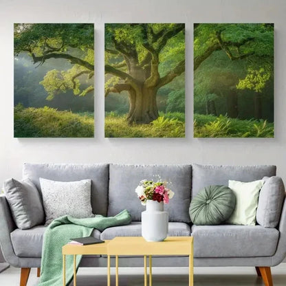 3pcs Sunlight, Green Leaves Wall Art Set Canvas Unframed - High Quality Print 100% Australian Made Wall Canvas
