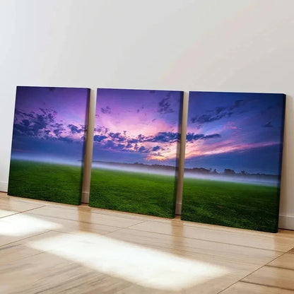 3pcs Endless Grassland & Purple Sky Wall Art Set Canvas Framed 40x60cm - High Quality Print 100% Australian Made Wall Canvas Ready to Hang