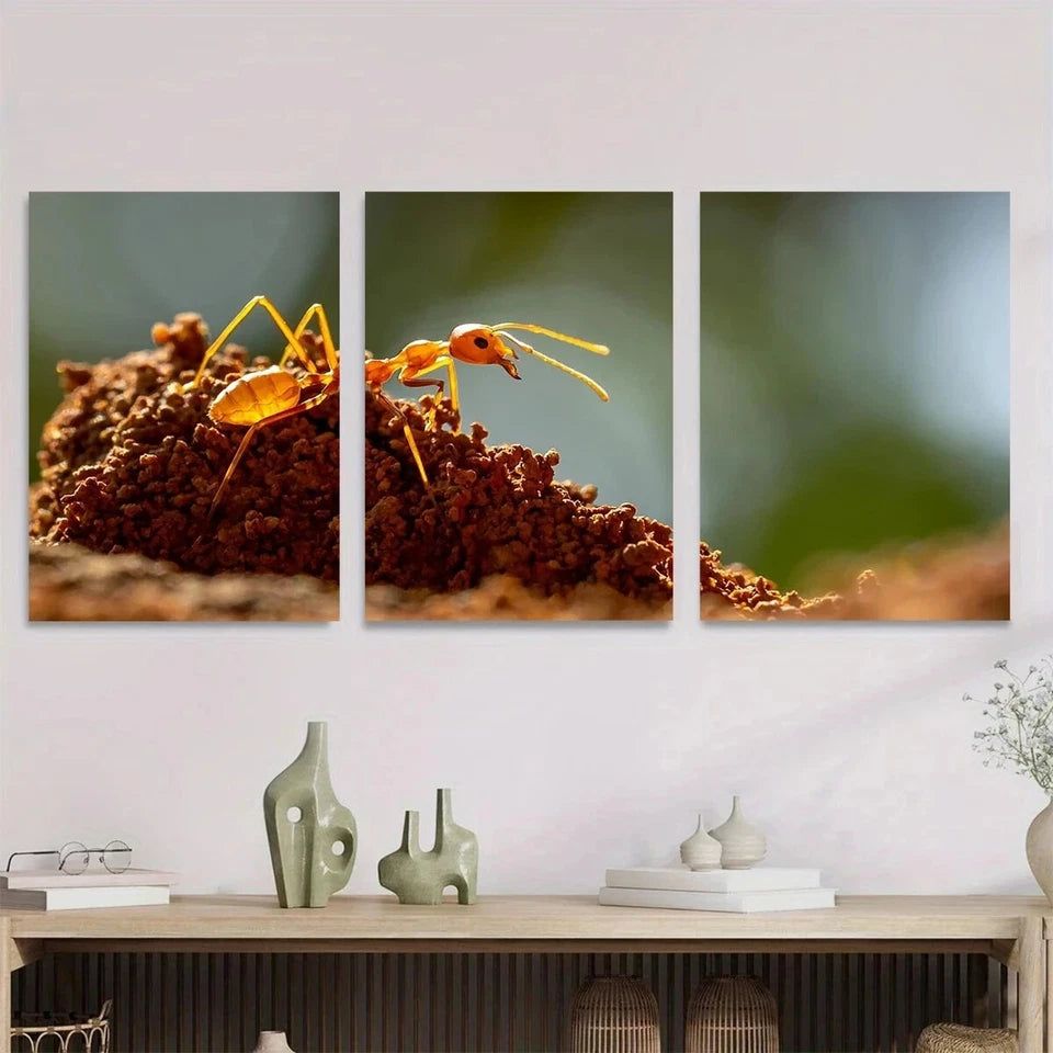 3pcs Vibrant Orange Ants on Mound Metal Print Ready to Hang Art