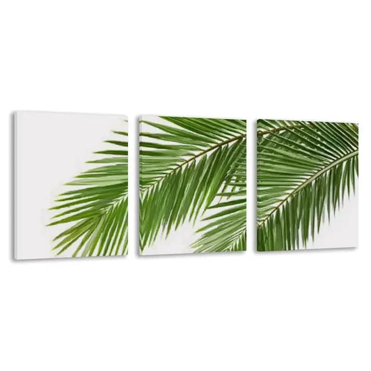 3pcs Palm leaves Isolated on a white Background  Wall Art Set Canvas Framed 60x90cm - High Quality Print 100% Australian Made Wall Canvas Ready to Hang