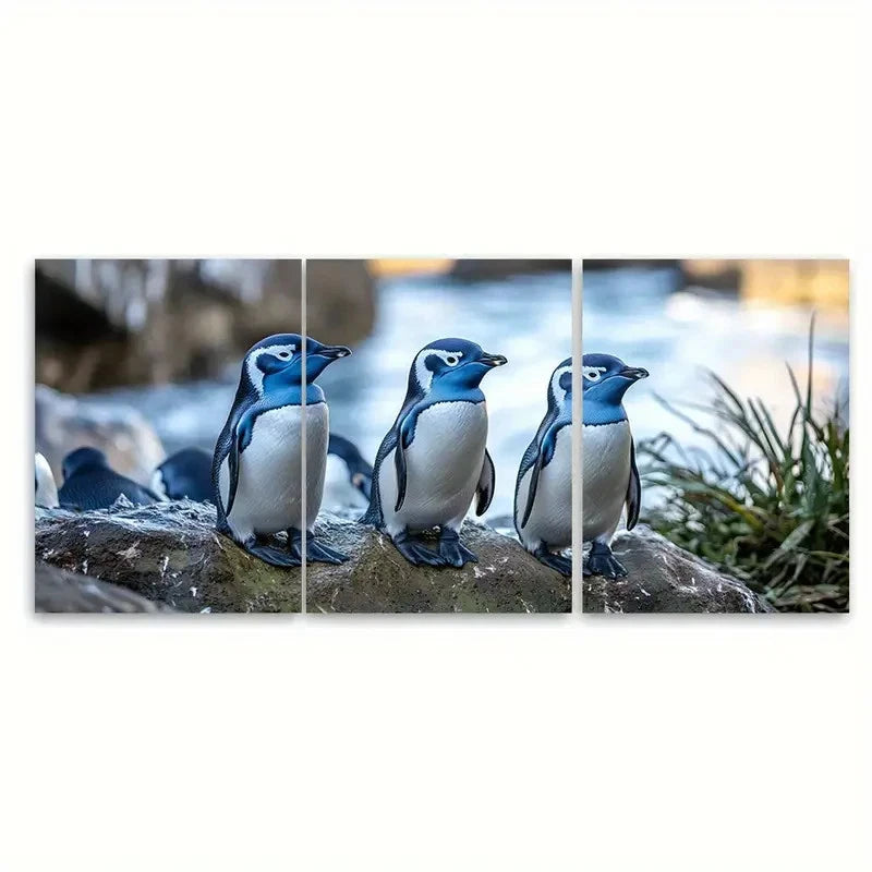 3pcs Blue Penguin Colony Oamaru Wall Art Set Canvas Framed 50x70cm - High Quality Print 100% Australian Made Wall Canvas Ready to Hang