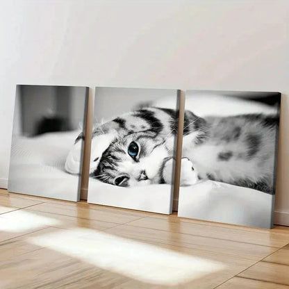 3pcs Pet Art Cute Cat Modern Decoration  Wall Art Set Canvas Framed 40x60cm - High Quality Print 100% Australian Made Wall Canvas Ready to Hang