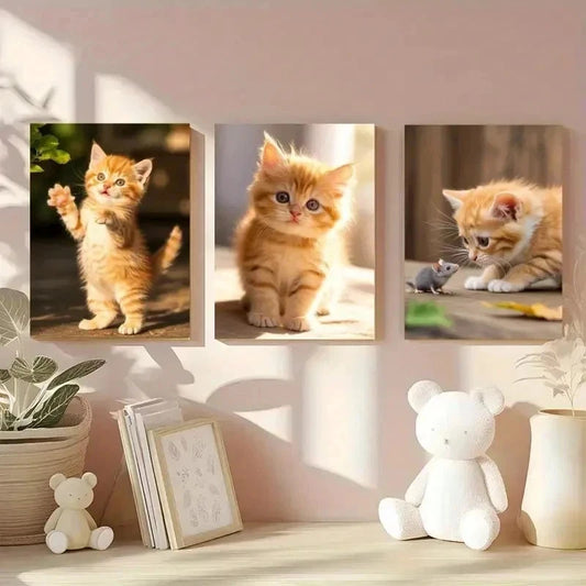 3pcs Adorable Kitten   Wall Art Canvas  Wall Art Set Canvas Framed 40x60cm - High Quality Print 100% Australian Made Wall Canvas Ready to Hang