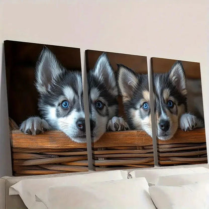 3pcs Adorable Husky Puppies Animal Themed Wall Art Set Canvas Framed 40x60cm - High Quality Print 100% Australian Made Wall Canvas Ready to Hang