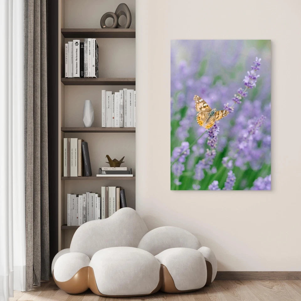 Butterfly Drinks Nectar Lavender Flower 60x90cm Metal Print Ready to Hang