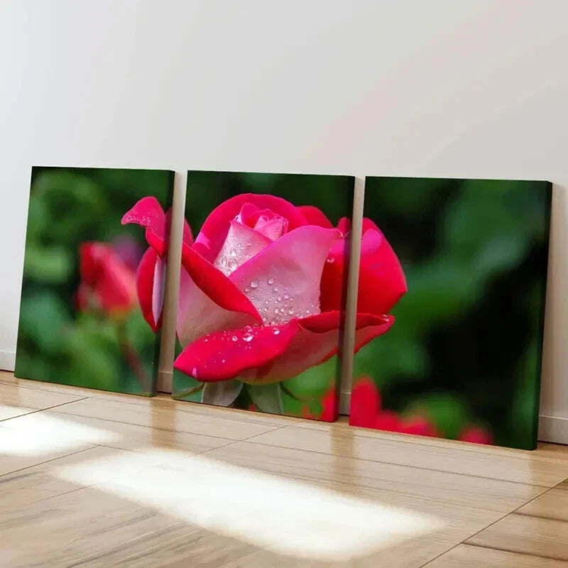 3pcs Floral Art Rose Flowers Decoration Wall Art Set Canvas Framed 40x60cm - High Quality Print 100% Australian Made Wall Canvas Ready to Hang