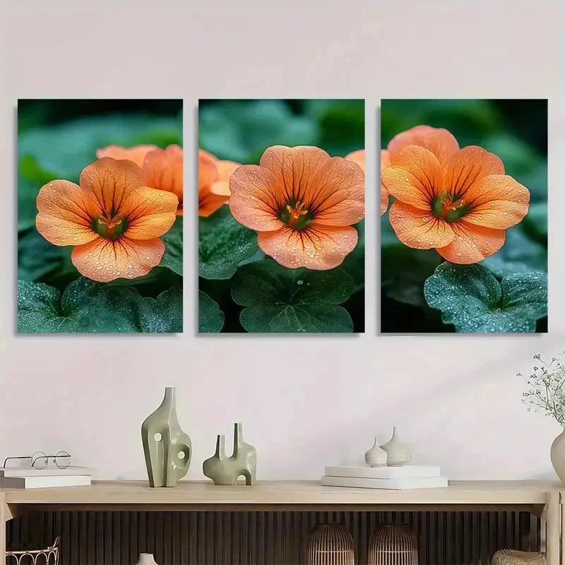 3pcs Vibrant Orange Nasturtium Flower Perfect Wall Art Set Canvas Framed 40x60cm - High Quality Print 100% Australian Made Wall Canvas Ready to Hang