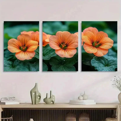3pcs Vibrant Orange Nasturtium Flower Perfect Wall Art Set Canvas Framed 40x60cm - High Quality Print 100% Australian Made Wall Canvas Ready to Hang
