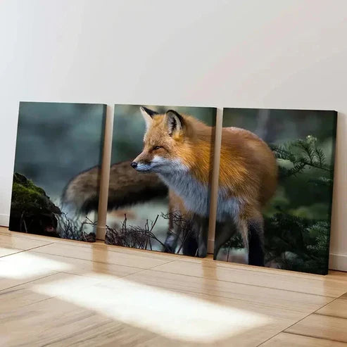 3pcs Vibrant Fox Design Decoration Wall Art Set Canvas Unframed - High Quality Print 100% Australian Made Wall Canvas