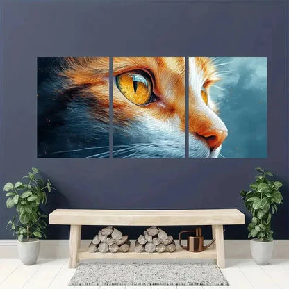 3pcs Orange & White Cat with Sparkling Eyes Wall Art Canvas Unframed - High Quality Print 100% Australian Made Wall Canvas
