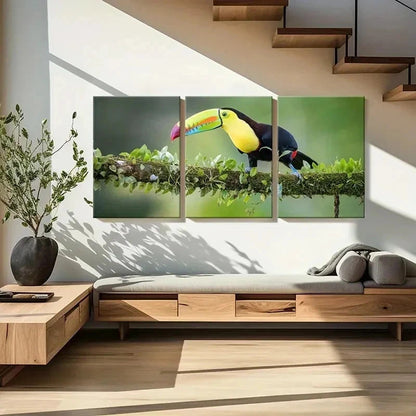 3pcs Bird  Animal Art Toucan Portrait Wall Art Set Canvas Framed 40x60cm - High Quality Print 100% Australian Made Wall Canvas Ready to Hang
