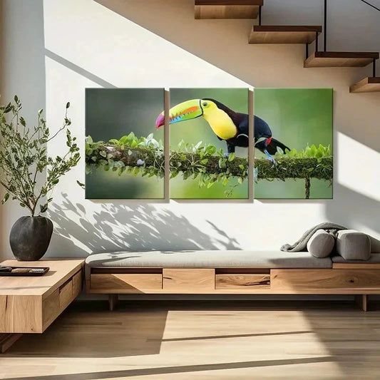 3pcs Bird  Animal Art Toucan Portrait Wall Art Set Canvas Framed 40x60cm - High Quality Print 100% Australian Made Wall Canvas Ready to Hang