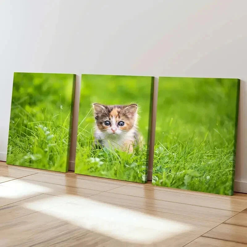3pcs Cute Small Kitten In Grass Portrait Wall Art Set Canvas Framed 40x60cm - High Quality Print 100% Australian Made Wall Canvas Ready to Hang